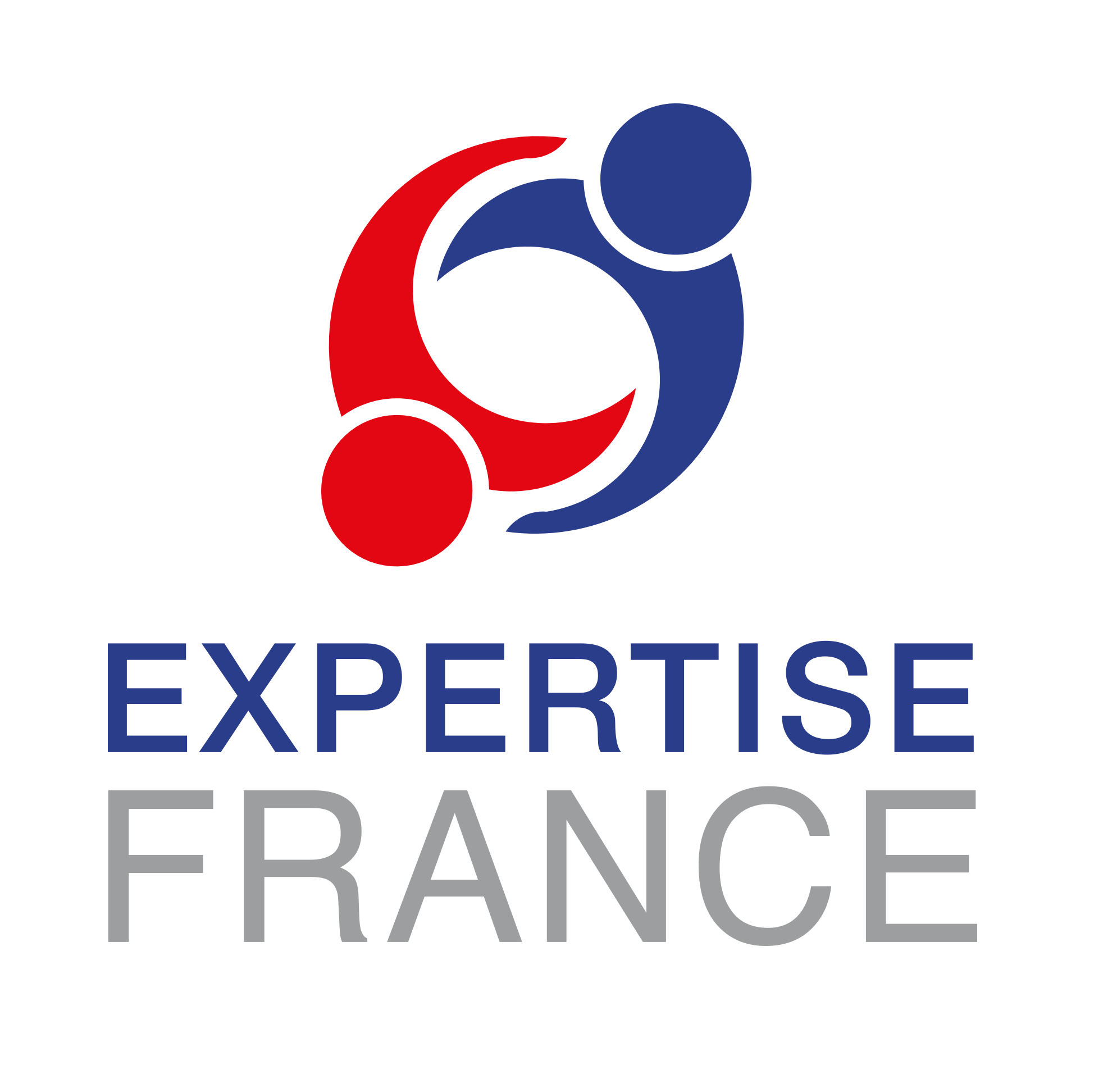 France company. Лого expertise France. Логотип компании fr. France benevolat эмблема. Expertise France l'initiative logo.